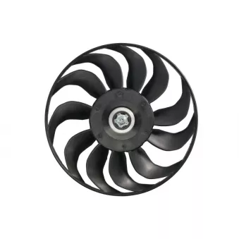 Roue du souffleur, refroidissementdu moteur THERMOTEC