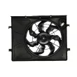 Ventilateur, refroidissement du moteur THERMOTEC D80509TT - Visuel 1