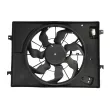 Ventilateur, refroidissement du moteur THERMOTEC D80511TT - Visuel 1