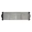 Intercooler, échangeur THERMOTEC DARV003TT - Visuel 2