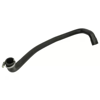 Durite de radiateur THERMOTEC DWV039TT
