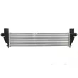 Intercooler, échangeur THERMOTEC DA9001TT - Visuel 2