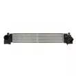 Intercooler, échangeur THERMOTEC DAB024TT - Visuel 1
