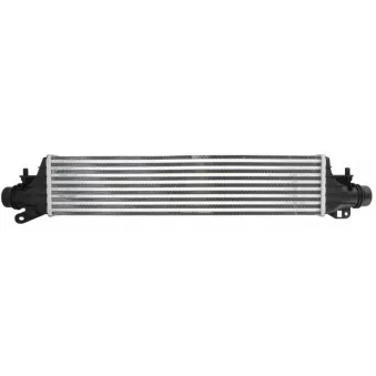 Intercooler, échangeur THERMOTEC DAX036TT