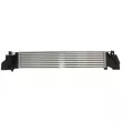 Intercooler, échangeur THERMOTEC DAB024TT - Visuel 2
