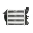 Intercooler, échangeur THERMOTEC DAF018TT - Visuel 2