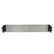 Intercooler, échangeur THERMOTEC DAX035TT - Visuel 2