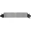 Intercooler, échangeur THERMOTEC DAX036TT - Visuel 2