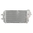 Intercooler, échangeur THERMOTEC DA05014TT - Visuel 2