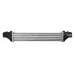 Intercooler, échangeur THERMOTEC DAM035TT - Visuel 2