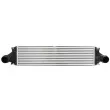 Intercooler, échangeur THERMOTEC DAV012TT - Visuel 1