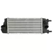 Intercooler, échangeur THERMOTEC DAF016TT - Visuel 1