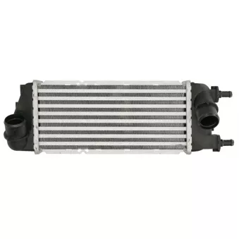 Intercooler, échangeur THERMOTEC DAF016TT