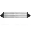 Intercooler, échangeur THERMOTEC DAV012TT - Visuel 2