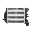 Intercooler, échangeur THERMOTEC DAF017TT - Visuel 2