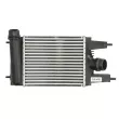 Intercooler, échangeur THERMOTEC DA1014TT - Visuel 1