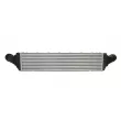 Intercooler, échangeur THERMOTEC DAA032TT - Visuel 2
