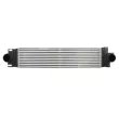 Intercooler, échangeur THERMOTEC DAG035TT - Visuel 1