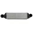 Intercooler, échangeur THERMOTEC DAB026TT - Visuel 1