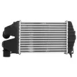 Intercooler, échangeur THERMOTEC DAX040TT - Visuel 2
