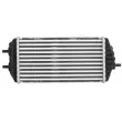 Intercooler, échangeur THERMOTEC DA05015TT - Visuel 2