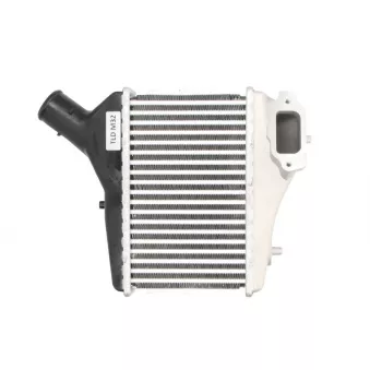Intercooler, échangeur THERMOTEC DA4004TT