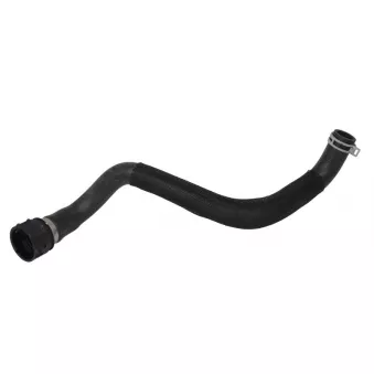 Durite de radiateur THERMOTEC DWV041TT