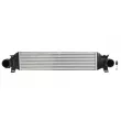 Intercooler, échangeur THERMOTEC DAG033TT - Visuel 1