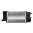 Intercooler, échangeur THERMOTEC DA1013TT - Visuel 1