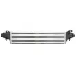 Intercooler, échangeur THERMOTEC DAX038TT - Visuel 1