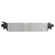 Intercooler, échangeur THERMOTEC DAX038TT - Visuel 2