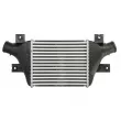 Intercooler, échangeur THERMOTEC DAC024TT - Visuel 2