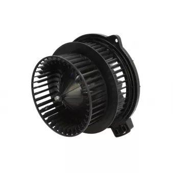 Pulseur d'air habitacle THERMOTEC DD2007TT