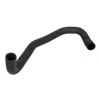Durite de radiateur THERMOTEC DWY018TT