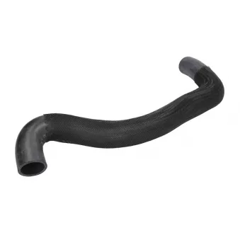 Durite de radiateur THERMOTEC DWX272TT