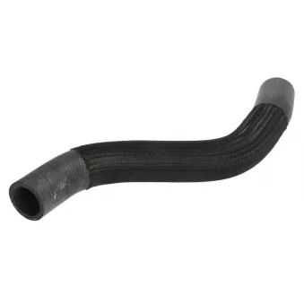 Durite de radiateur THERMOTEC DWY020TT