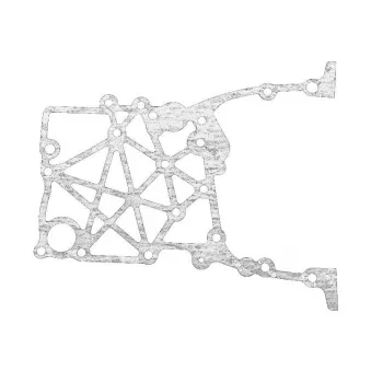 Joint d'étanchéité, carter de distribution OE 213134X100