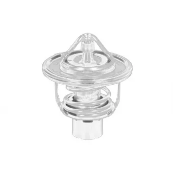 Thermostat d'eau OE P50215171