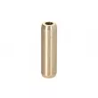 Guide de soupape FRECCIA G11529 - Visuel 2