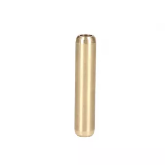 Guide de soupape FRECCIA G11587