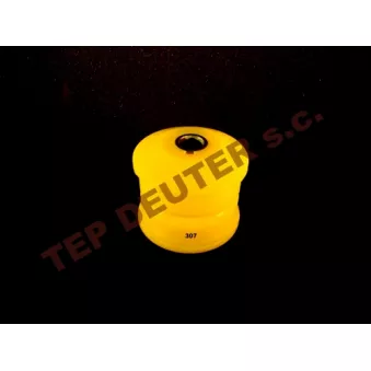 Kit de silents bloc d'essieu DEUTER DEUP307