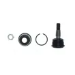 Rotule de suspension AISIN JBJNI-012 - Visuel 2