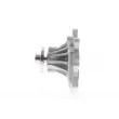 Pompe à eau AISIN WPG-700 - Visuel 2