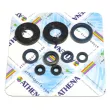 jeu de joints complet, moteur ATHENA P400220400126 - Visuel 3