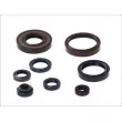jeu complet de joints, moteur ATHENA P400220400128 - Visuel 1