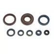 jeu complet de joints, moteur ATHENA P400220400128 - Visuel 2