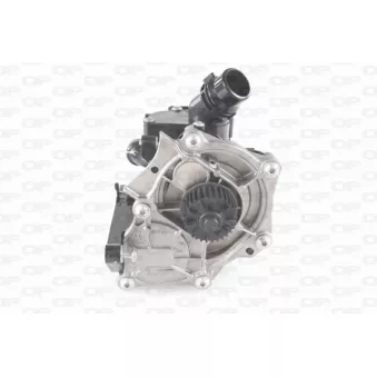 Kit pompe à eau OPEN PARTS TRM1183.01