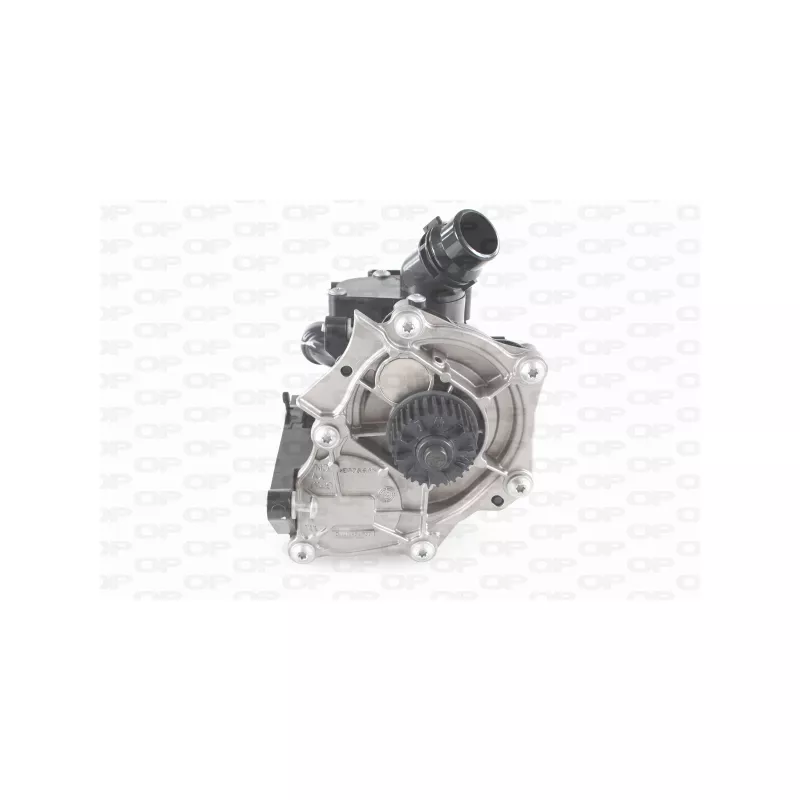 Kit pompe à eau OPEN PARTS TRM1183.01