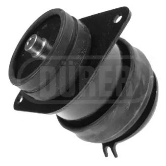 Support moteur DÜRER SM8038
