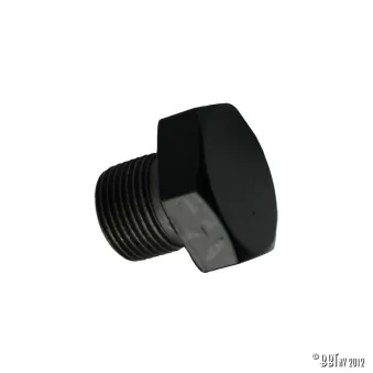 Boulon pour poulie vilebrequin Type1 YOUNG PARTS 1934-100